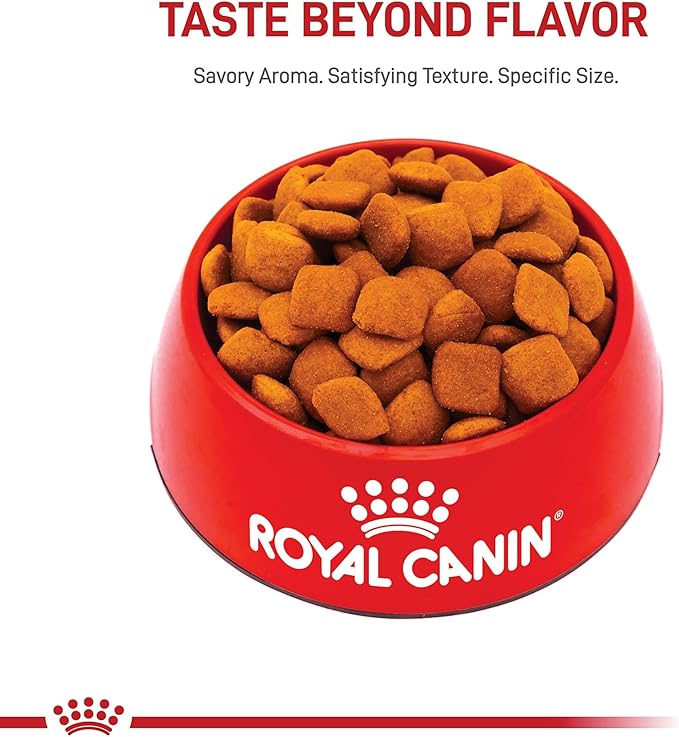 Royal Canin Golden Retriever Adult Dry Dog Food, 30 lb bag - Image 4