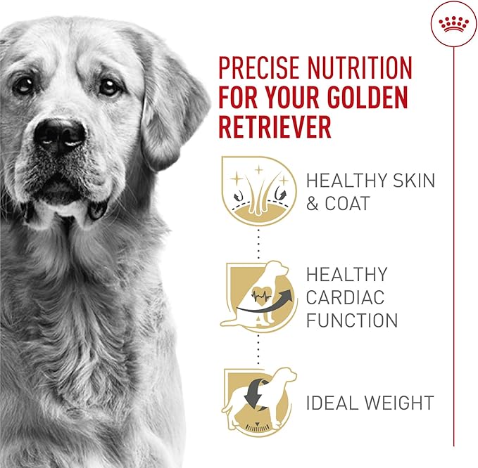 Royal Canin Golden Retriever Adult Dry Dog Food, 30 lb bag - Image 3