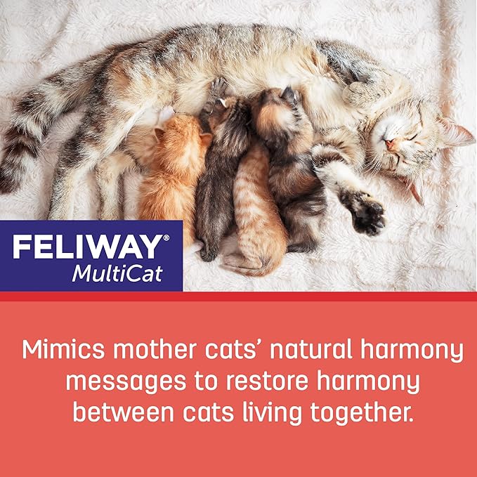 FELIWAY® MultiCat 6 x 30 Day Cat Calming Refills for Pheromone Diffuser, 6 x 48ml Value Pack- Helps Reduce Conflicts and Signs of Tension in Multi-Cat Households - Image 5