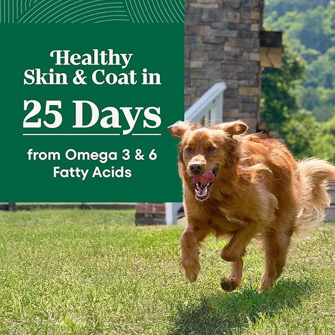 Nutro Natural Choice Chicken & Brown Rice Large Breed Senior Dog Food Dry Recipe, 30 lb. Bag - Image 5