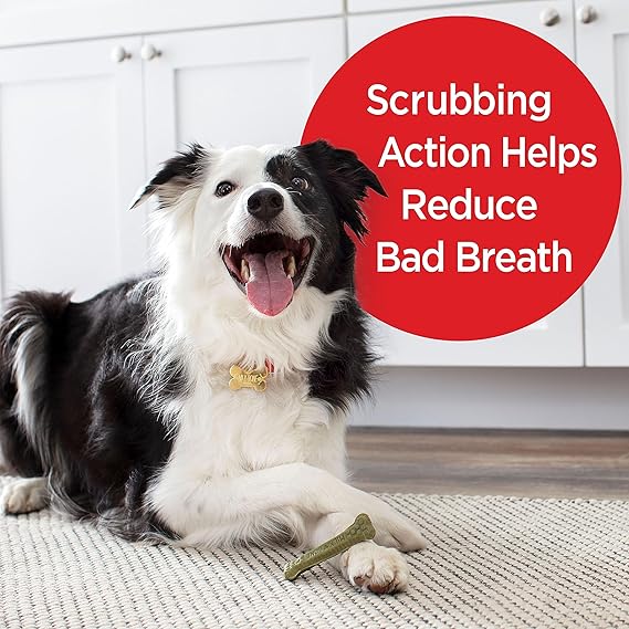 Milk-Bone Fresh Breath Brushing Chews, 9 Small Medium Daily Dental Dog Treats (Pack of 5) Scrubbing Action Helps Clean Teeth - Image 5