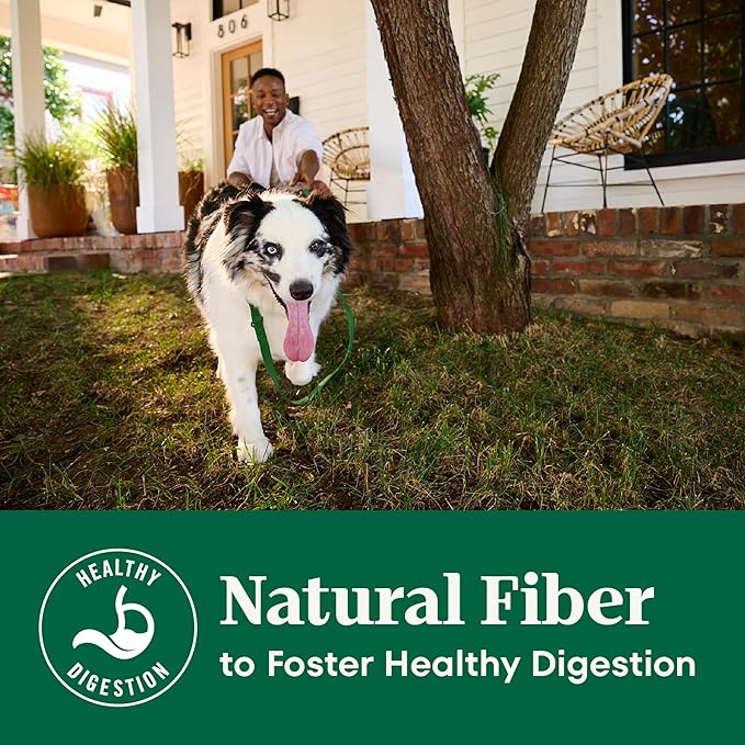 Nutro Natural Choice Chicken & Brown Rice Large Breed Senior Dog Food Dry Recipe, 30 lb. Bag - Image 3